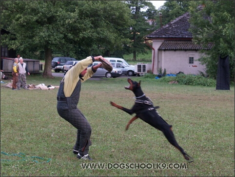 Training camp - Lukova 2007